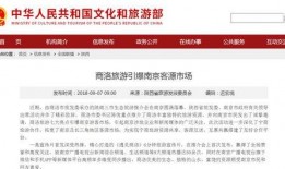 南京导游爆料新闻报道视频,揭秘古都背后的故事与秘密